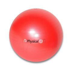 55cm Pro Stability Ball